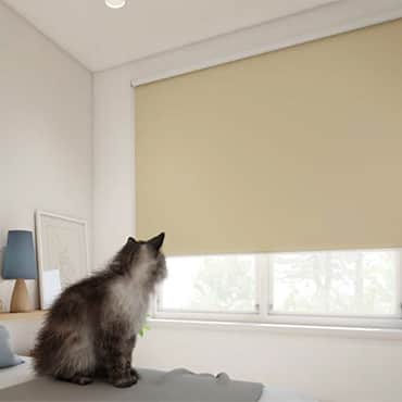 �V�G����